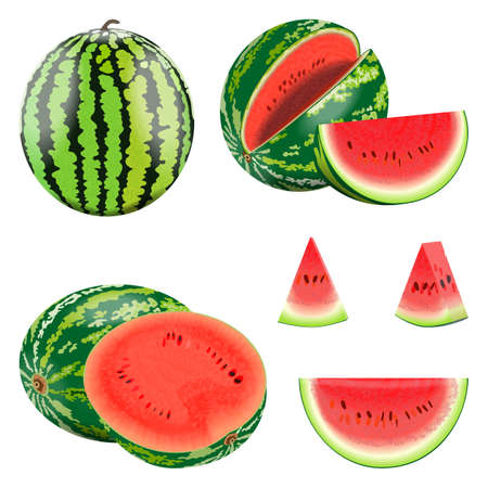 Set of watermelons. Whole and sliced, half and quarter of a watermelon. Ripe, juicy, sweet watermelon for banner, flyer, menu. Watermelon day. Fresh summer fruits and berries. Vector illustration.のイラスト素材