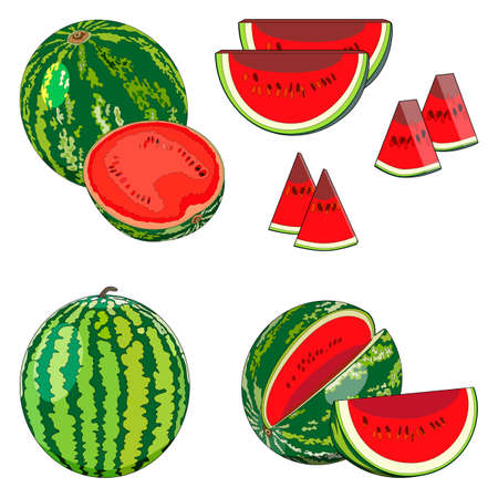 Set of sweet watermelons in cartoon style for banner, flyer, menu. Whole and sliced, half and quarter of a watermelon. Watermelon day. Fresh summer fruits and berries. Vector illustrationのイラスト素材