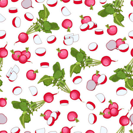 Seamless background of radishes. Cartoon style radish.. Whole, half, and sliced turnip. Radish with tops. Organic and healthy, vegetarian vegetables. Vector illustration isolated on white backgroundのイラスト素材