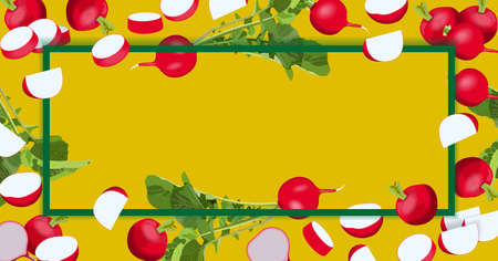 Banner with whole and sliced, half and quarter of radish. Cartoon style radish. Rectangular template. Vector illustration isolated on yellow backgroundのイラスト素材