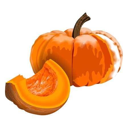 Jack Be Little pumpkin. Half yellow pumpkin.  Fresh vegetables Vector illustration isolated on white background.のイラスト素材