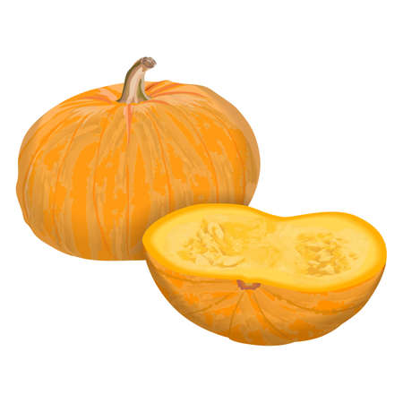Sugar pie pumpkin. Half yellow pumpkin.  Fresh vegetables Vector illustration isolated on white background.のイラスト素材