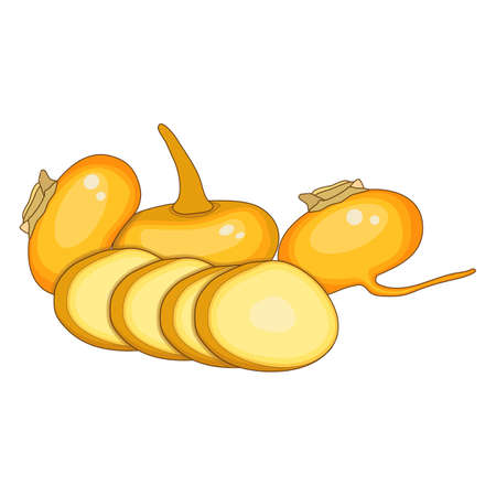 Orange turnip for banners, flyers, posters, cards. Yellow turnips - whole and slices. Orange turnip in cartoon style. Fresh organic vegetables. Vector illustration isolated on white background.のイラスト素材