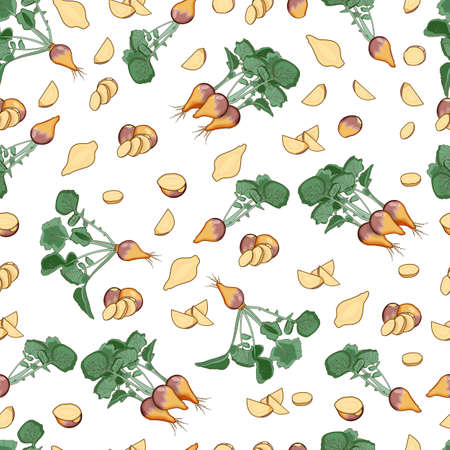 Seamless background of rutabaga. Whole, half, and sliced of Swedish turnip. Root of swede. Cartoon style. Root vegetables. Pattern. Vector illustration isolated on white backgroundのイラスト素材