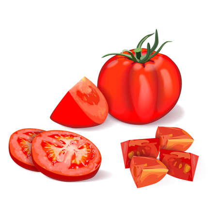 Composition of a whole, quarter, sliced tomatoes. Red Globe tomato for banners, flyers, social media. Fresh organic, diet and vegetarian vegetables. Vector illustration isolated on white backgroundのイラスト素材