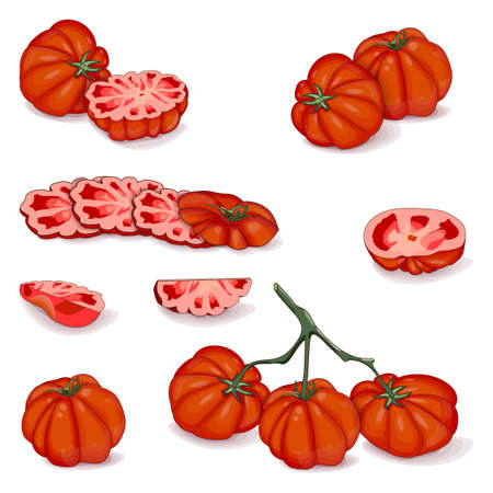 Set of tomatoes for banners, flyers, posters, social media. Whole, half, wedges, slices of beef tomatoes. Beefsteak tomato. Vegetables. Cartoon style. Vector illustration isolated on white backgroundのイラスト素材
