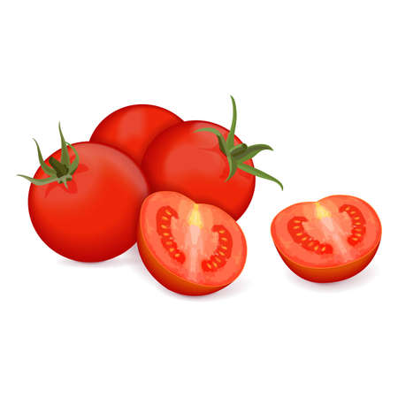 Composition of the whole, and half red cherry tomatoes for banners, flyers, posters, cards, social media. Fresh organic and healthy vegetables. Vector illustration isolated on white background.のイラスト素材