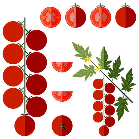 Set of cherry tomatoes for banners, flyers, posters, social media. Branch, whole, half, quarter cherry tomato. Fresh organic vegetables. Flat style. Vector illustration isolated on white background.のイラスト素材