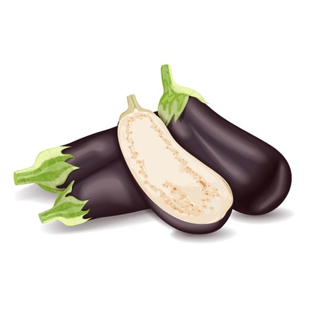 Whole eggplants and half aubergine for banners, flyers, posters, social media. Brinjal, nightshade family. Fresh organic and healthy vegetables. Vector illustration isolated on white background.のイラスト素材