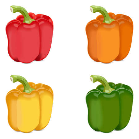 Red, green, yellow, and orange bell peppers for banners, flyers, posters, social media. Sweet bell peppers, capsicum. Fresh organic vegetables. Vector illustration isolated on white background.のイラスト素材