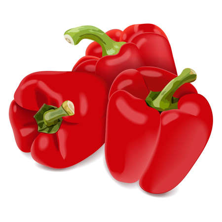 Three bell peppers for banners, flyers, posters, social media. Red peppers, sweet bell peppers, capsicum. Fresh organic and healthy vegetables. Vector illustration isolated on white background.のイラスト素材