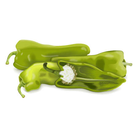 Whole and half of Cubanelle pepper. Capsicum annuum cubanelle, cuban pepper, Italian Frying Pepper. Fresh organic and healthy vegetables. Vector illustration isolated on white background.のイラスト素材