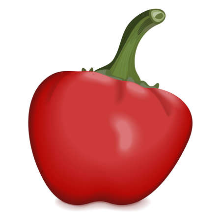 Cherry Pepper for banners, flyers, posters, social media. Pimento or Pimiento. Capsicum annuum. Fresh organic and healthy, vegetarian vegetables. Vector illustration isolated on white background.のイラスト素材