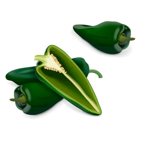 Whole and half of Poblano pepper for banners, flyers, posters, social media. Chili pepper. Ancho. Chile ancho. Capsicum annuum. Organic vegetables. Vector illustration isolated on white background.のイラスト素材