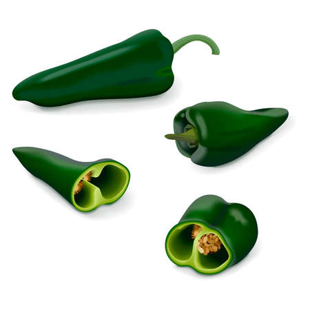 Whole, quarter of Poblano pepper for banners, flyers, posters, social media. Chili pepper. Ancho. Chile ancho. Capsicum annuum. Organic vegetables. Vector illustration isolated on white background.のイラスト素材