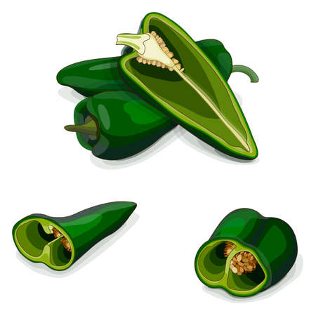 Whole, half, and quarter of poblano peppers for flyers, social media. Chili peppers. Ancho. Chile ancho. Capsicum annuum. Vegetables. Cartoon style. Vector illustration isolated on white background.のイラスト素材