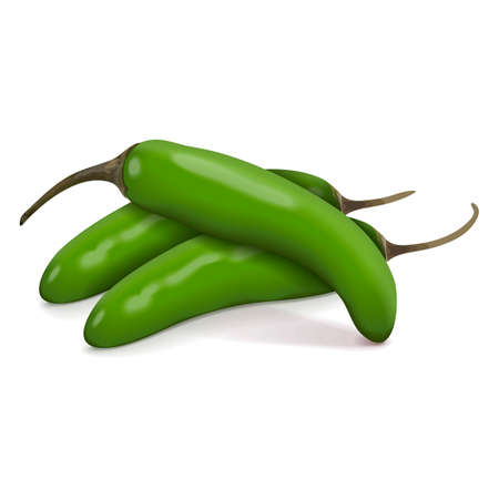 Group of green serrano Chile peppers. Chile serrano or serrano chilis. Chili pepper. Capsicum annuum. Fresh organic vegetables. Vector illustration isolated on white background.のイラスト素材