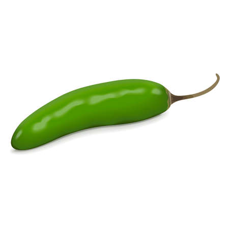 Green serrano chill peppers. Chile serrano or serrano chilis. Chili pepper. Capsicum annuum. Fresh organic vegetables. Vector illustration isolated on white background.のイラスト素材