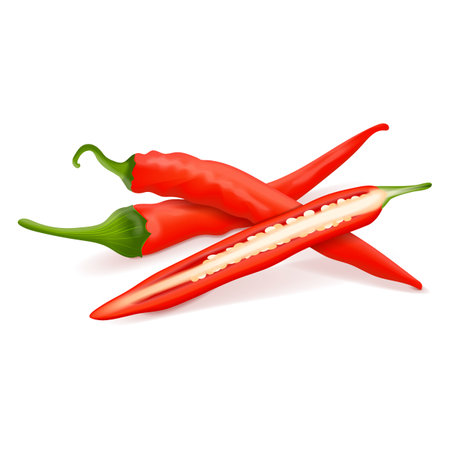 Whole and half of the cayenne peppers for banners, flyers, posters, and social media. Ginnie peppers. Chili peppers. Fresh organic vegetables. Vector illustration isolated on white background.のイラスト素材