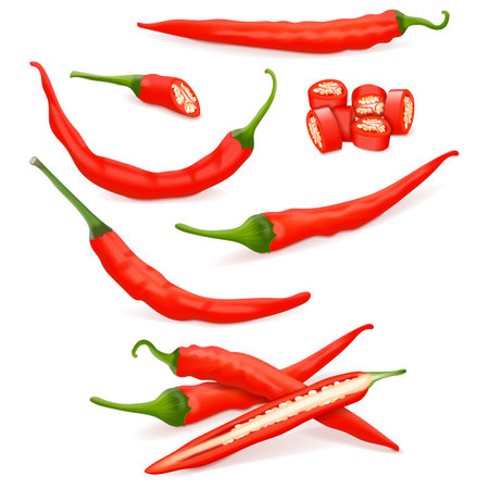 Set with whole, half, quarter, slices, and wedges of Cayenne peppers. Ginnie peppers. Chili peppers. Fresh organic vegetables. Vector illustration isolated on white background.のイラスト素材