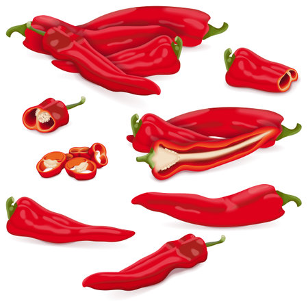 Set with whole, half, quarter, slices, and wedges of Sweet Italian chili peppers. friggitello. Tuscan peppers. Pepperoncini peppers. Vegetables. Vector illustration isolated on white background.のイラスト素材