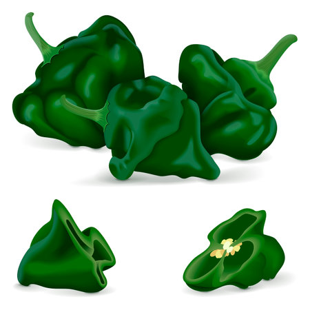 Whole and a quarter of green scotch bonnet peppers. Capsicum chinense. Hot chili pepper. Fresh organic vegetables. Vector illustration isolated on white background.のイラスト素材