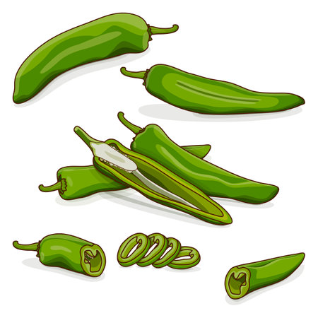 Whole, half, quarter, slices, and wedges of Green anaheim peppers. Capsicum annuum. chili pepper. fresh organic vegetables. cartoon style. Vector illustration isolated on white background.のイラスト素材