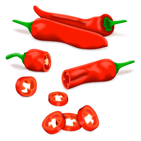 Whole, quarter, slices, and wedges of Aleppo peppers. Halaby peppers. halabe peppers. Capsicum annuum. chili pepper. Vegetables. Vector illustration isolated on white background.のイラスト素材