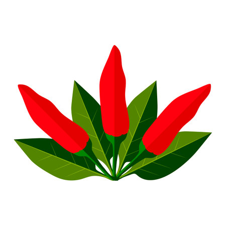 Tabasco peppers. hot peppers. Bush with peppers and leaves. Capsicum annuum. chili pepper. Fresh, organic, raw, vegan vegetables. flat. style. Vector illustration isolated on white background.のイラスト素材