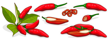 Set with whole, half, quarter, slices of Tabasco Peppers. hot peppers. Peppers with leaves. Capsicum annuum. chili pepper. Vegetables. cartoon style. Vector illustration isolated on white background.のイラスト素材