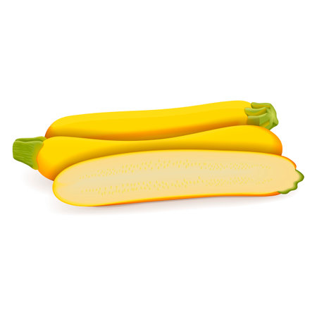 Whole and half of Yellow zucchini or golden zucchini. Courgette or marrow. Summer squash. Cucurbita pepo or cucubits. Fruits and vegetables. Vector illustration isolated on white background.のイラスト素材