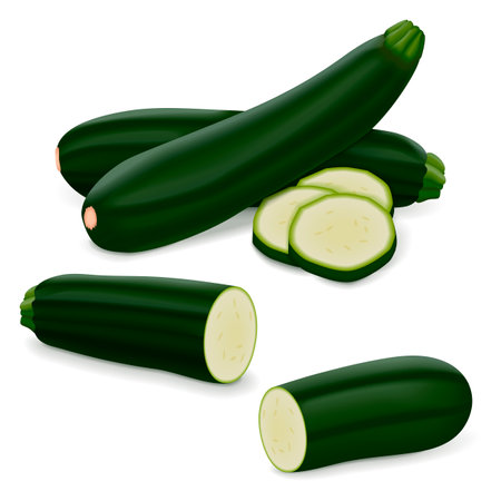 Whole, quarter, slices, wedges of Black Beauty Zucchini or Dark Green Zucchini. Courgette or marrow. Summer squash. Cucubits. Fruits and vegetables. Vector illustration isolated on white background.のイラスト素材
