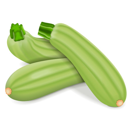 Group of Lebanese zucchini or Green courgette. Courgette or marrow. Summer squash. Cucurbita pepo or cucubits. Fresh, raw fruits and vegetables. Vector illustration isolated on white background.のイラスト素材