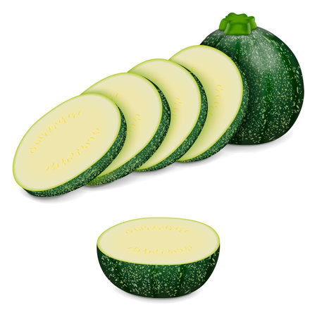 Whole, slices, wedges of Round Zucchini or Eight Ball squash. Cue Ball squash. Courgette or marrow. Summer squash. Cucubits. Fruits and vegetables. Vector illustration isolated on white background.のイラスト素材