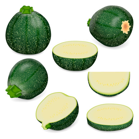 Set of Round Zucchini or Eight Ball squash. Cue Ball squash. Courgette or marrow. Summer squash. Cucurbita pepo or cucubits. Fruits and vegetables. Vector illustration isolated on white background.のイラスト素材