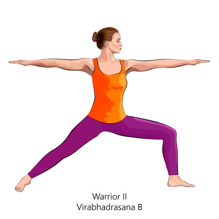 Full length side view of young woman practicing yoga exercise, doing Warrior II pose or Virabhadrasana B. Standing and Balancing. beginner. Vector illustration isolated on white background.のイラスト素材