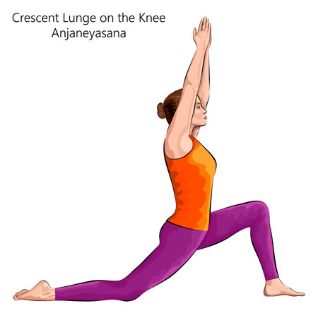Side view of female practicing yoga exercise, doing Crescent Lunge on the Knee or Low Lunge pose or Anjaneyasana. Standing and Balancing. beginner. Vector illustration isolated on white background.のイラスト素材