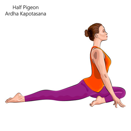 Young woman practicing yoga exercise, doing Half Pigeon pose or Swan pose. Ardha Kapotasana. Seated and Backbend. beginner. Vector illustration isolated on white background.のイラスト素材