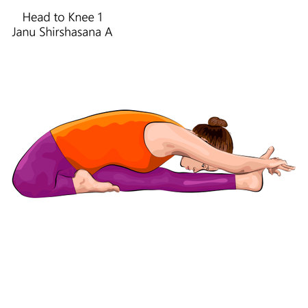 Young woman practicing yoga exercise, doing Head to Knee 1 pose. Janu Shirshasana A. Seated and Forward Bend. beginner. Vector illustration isolated on white background.のイラスト素材