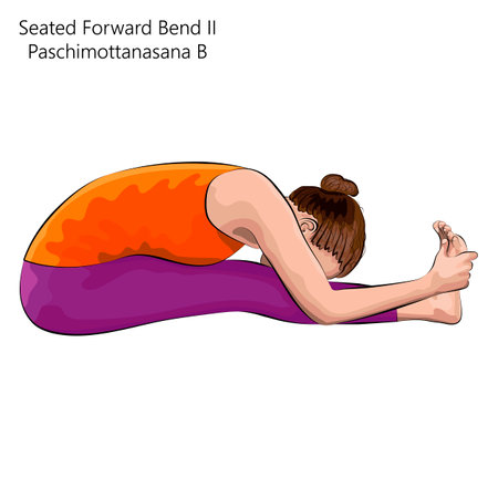Young woman practicing yoga exercise, doing Seated Forward Bend 2 pose or Intense West Stretch. Paschimottanasana B. Seated and Forward Bend. beginner. Vector illustration isolated on white backgroundのイラスト素材