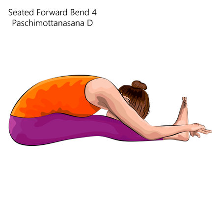 Young woman practicing yoga exercise, doing Seated Forward Bend 4 pose or Intense West Stretch. Paschimottanasana D. Seated and Forward Bend. beginner. Vector illustration isolated on white backgroundのイラスト素材