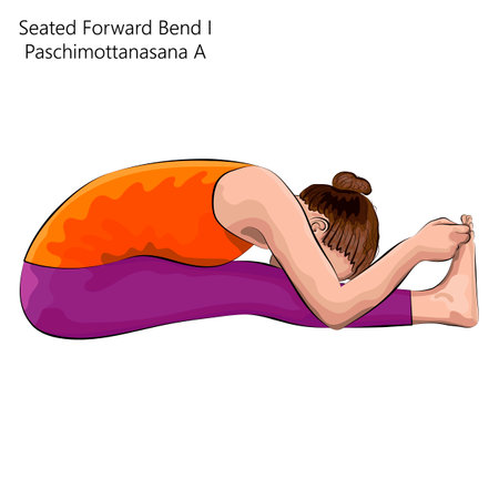 Young woman practicing yoga exercise, doing Seated Forward Bend 1 pose or Intense West Stretch. Paschimottanasana A. Seated and Forward Bend. beginner. Vector illustration isolated on white backgroundのイラスト素材