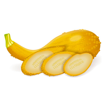 Whole, quarter, slices, and wedges of Hard yellow Crookneck Squash. Summer squash. Cucurbita pepo. Cucurbitaceae. Fresh, raw fruits and vegetables. Vector illustration isolated on white background.のイラスト素材