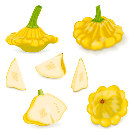 Set with whole, half, quarter of Yellow Patty Pan squash or Patty pan squash or scallop squash. Summer squash. Cucurbita pepo. fruits and vegetables. Vector illustration isolated on white background.のイラスト素材