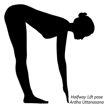 Flat black silhouette of young woman practicing yoga, doing Halfway Lift pose or Ardha Uttanasana. Standing and Forward Bend. beginner. Vector illustration isolated on transparent background.のイラスト素材