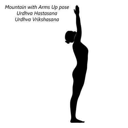 Silhouette of young woman practicing yoga, doing Mountain with Arms Up. Upward Salute. Extended Mountain. Urdhva Hastasana. Urdhva Vrikshasana. Vector illustration isolated on transparent background.のイラスト素材