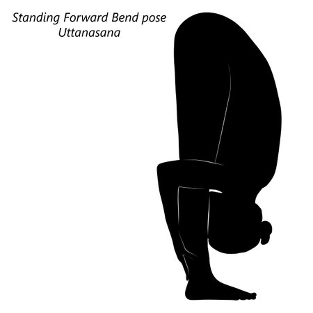 Flat black silhouette of young woman practicing yoga, doing Standing Forward Bend pose or Uttanasana. Standing and Forward Bend. beginner. Vector illustration isolated on transparent background.のイラスト素材