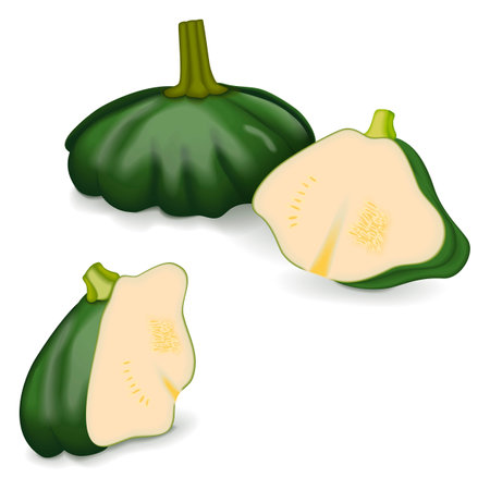 Whole and half of Green Patty Pan squash or Scallop or Scallopini squash. Summer squash. Cucurbita pepo. fruits and vegetables. Vector illustration isolated on white background.のイラスト素材