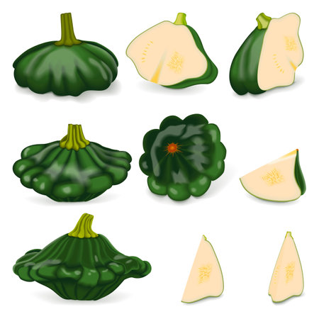 Set with whole, half, quarter, slices of Green Patty Pan squash or Scallop or Scallopini squash. Summer squash. Cucurbita pepo. fruits and vegetables. Vector illustration isolated on white background.のイラスト素材