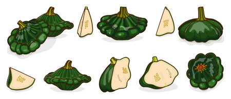 Set of Green Patty Pan squash or Scallop or Scallopini squash. Summer squash. Cucurbita pepo. fruits and vegetables. cartoon style. Vector illustration isolated on white background.のイラスト素材